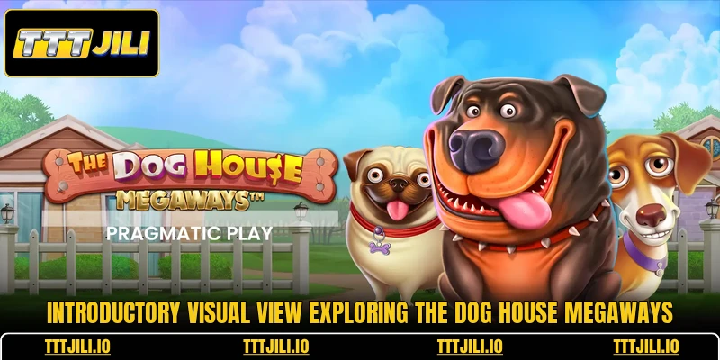 Introductory visual view exploring the dog house megaways