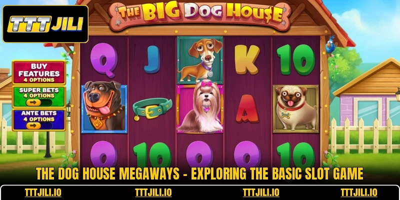 The Dog House Megaways - Exploring The Basic Slot Game